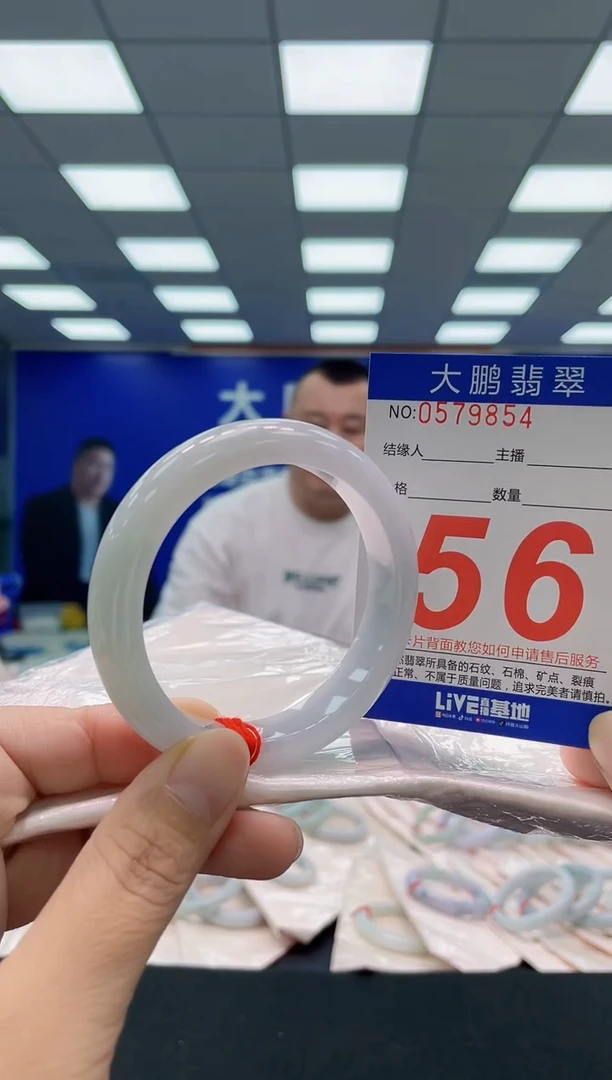 未镶嵌手镯翡翠AAAAAAAAA