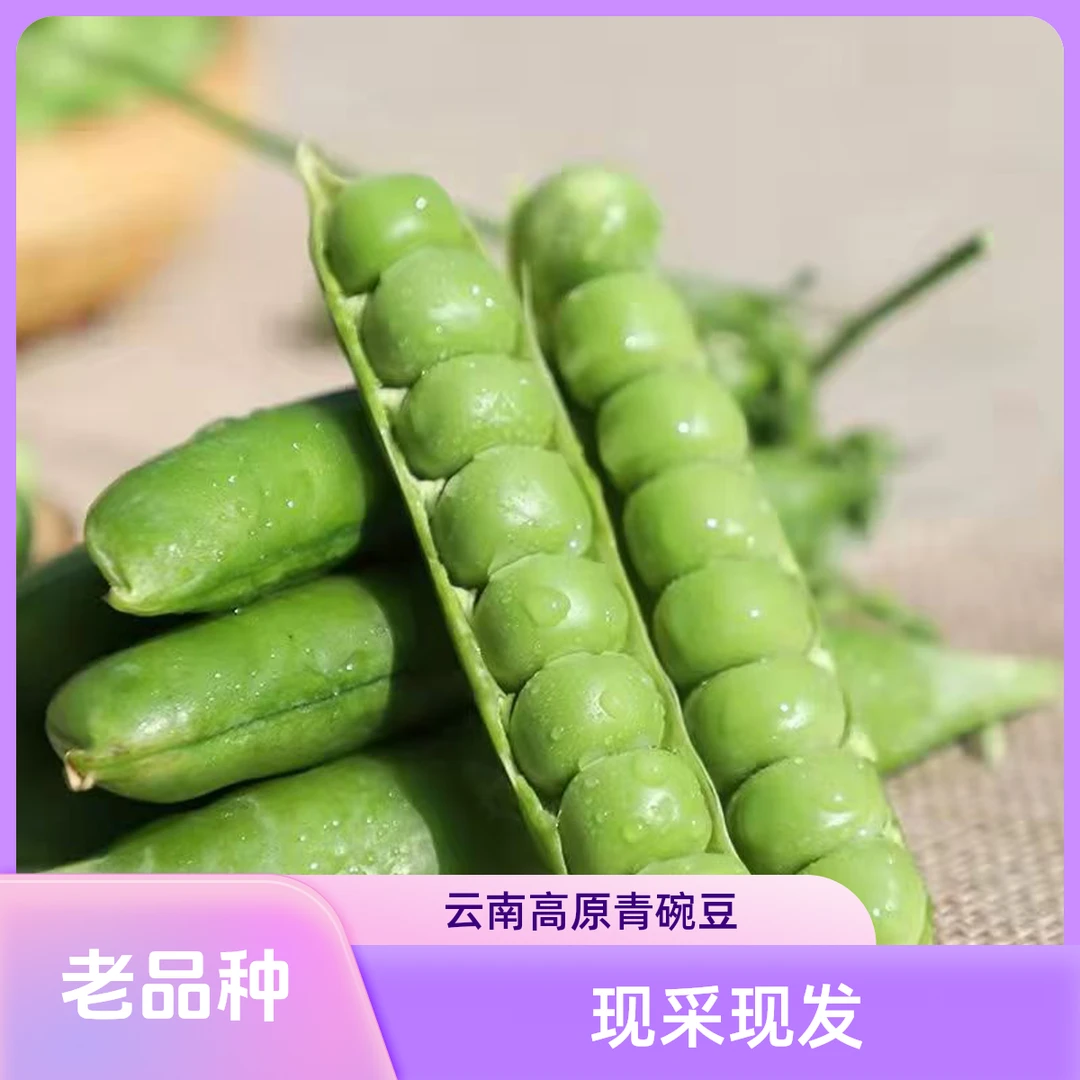 【老品种】云南高原新鲜青碗豆带壳豌豆农家自种老品质碗豆现摘现发