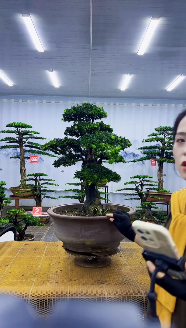 无花朵00000000000000000