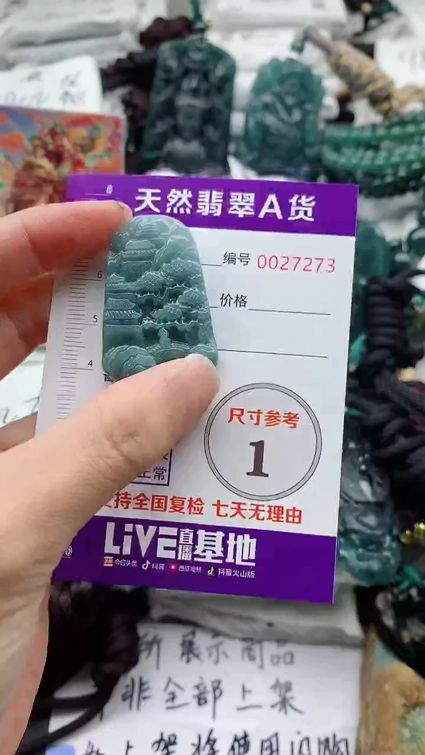 翡翠未镶嵌颈饰9
