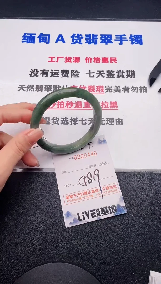 未镶嵌手镯翡翠46