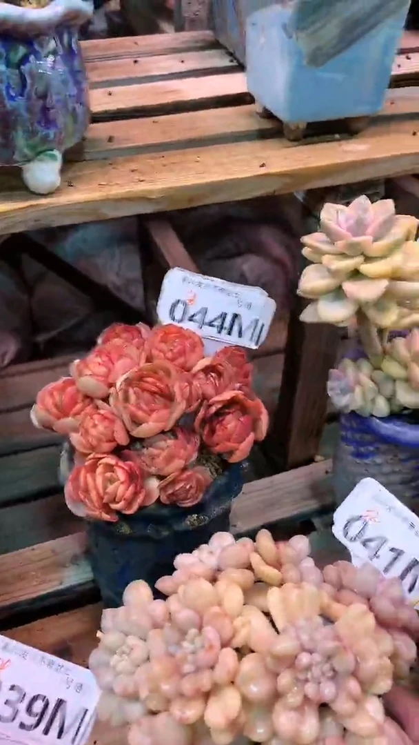 【闪购商品】044MMM