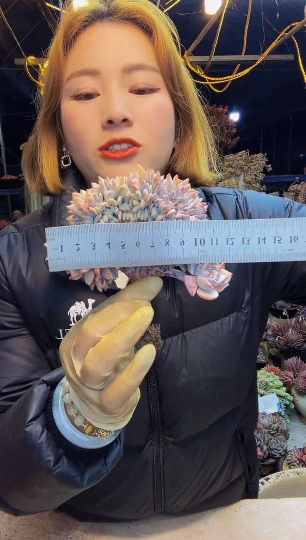 ^***笑橙子V板一物一拍可笑