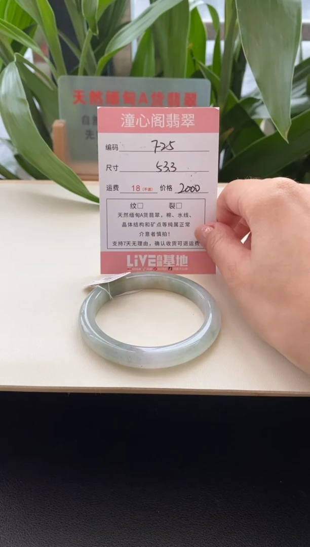 未镶嵌手镯翡翠53.5圈口编码f25