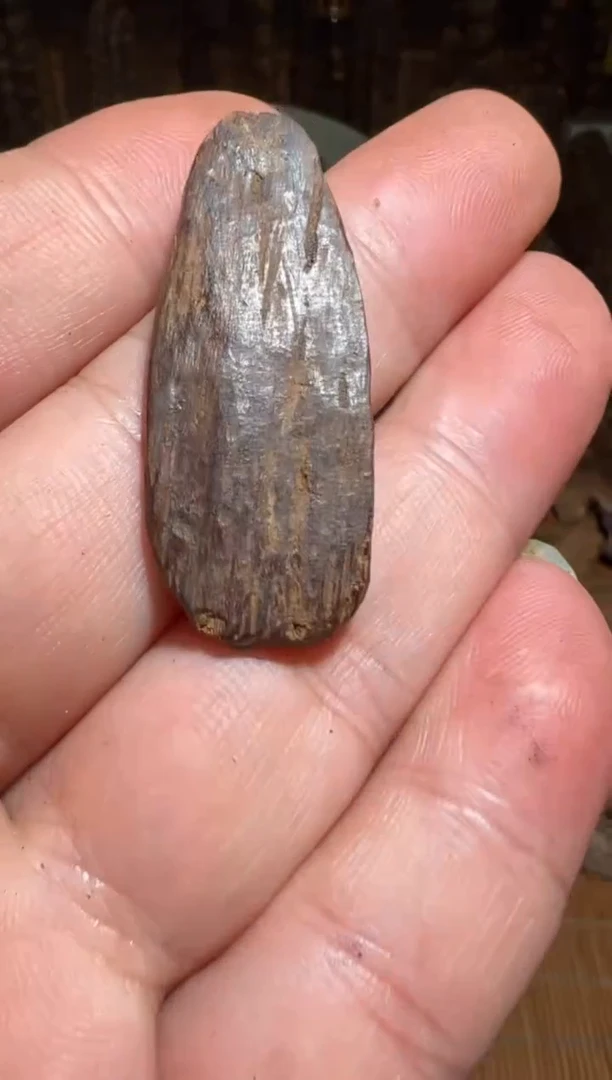 沉香沉香碎屑莱特1克