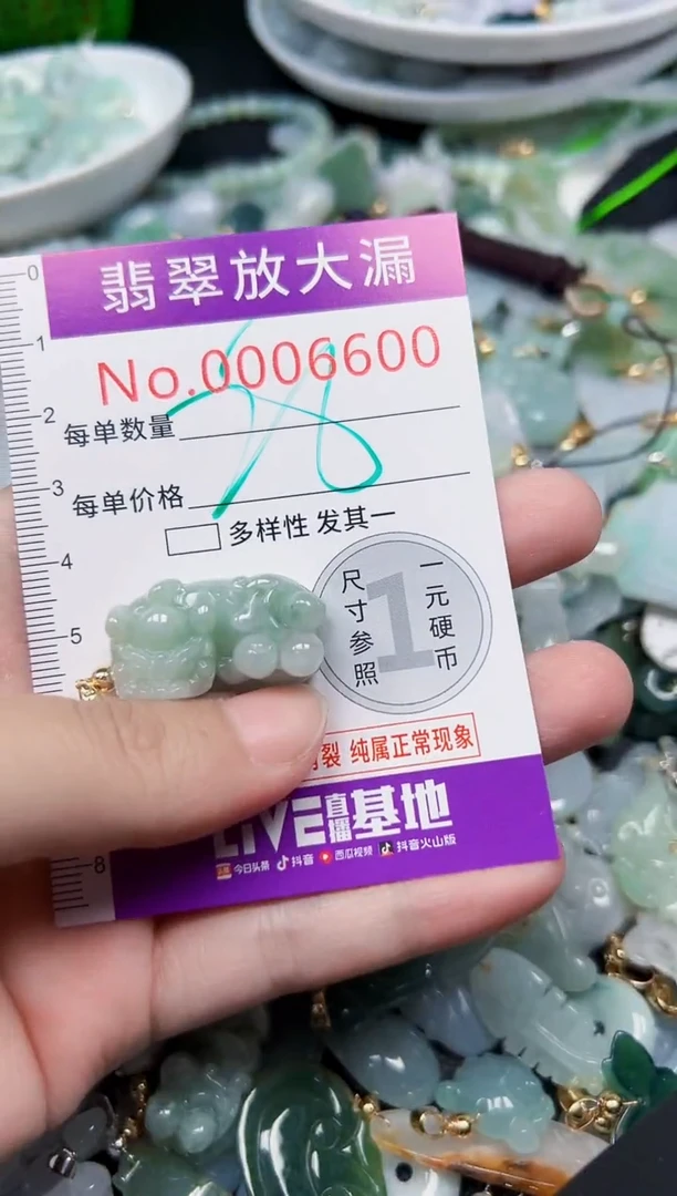 颈饰未镶嵌翡翠6600
