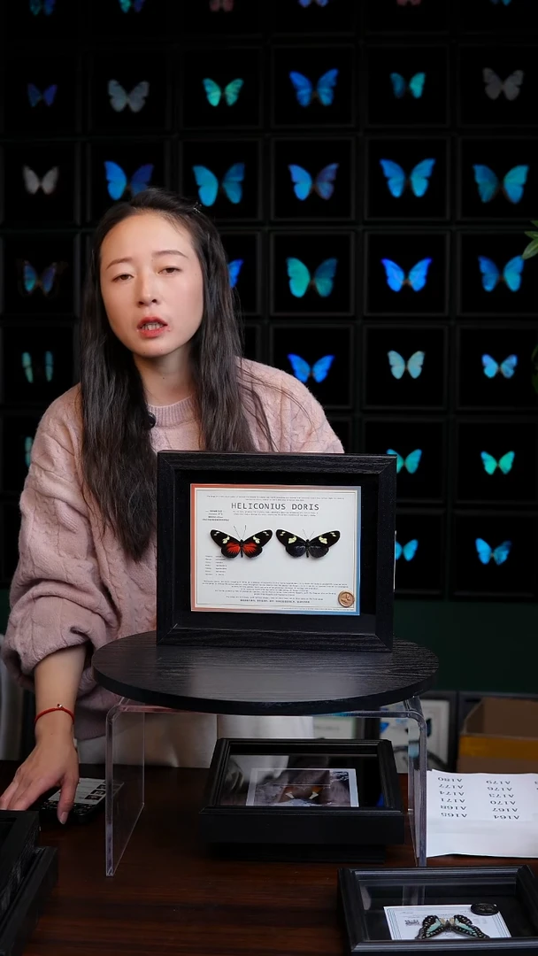 海神袖红蓝一对10寸横框