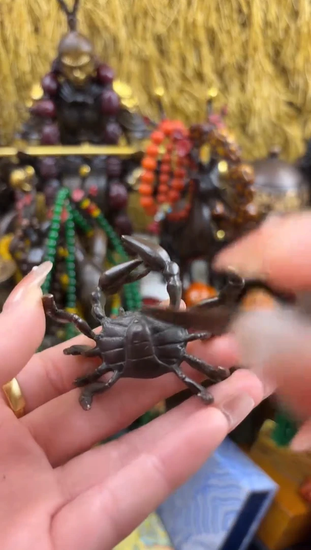 【闪购商品】晨晨专属链接晨晨专属链接2