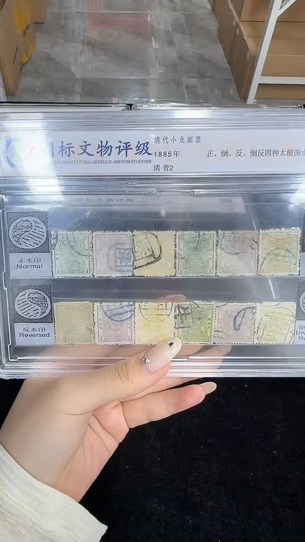 《周总严选》小龙邮票四水印 收藏展示