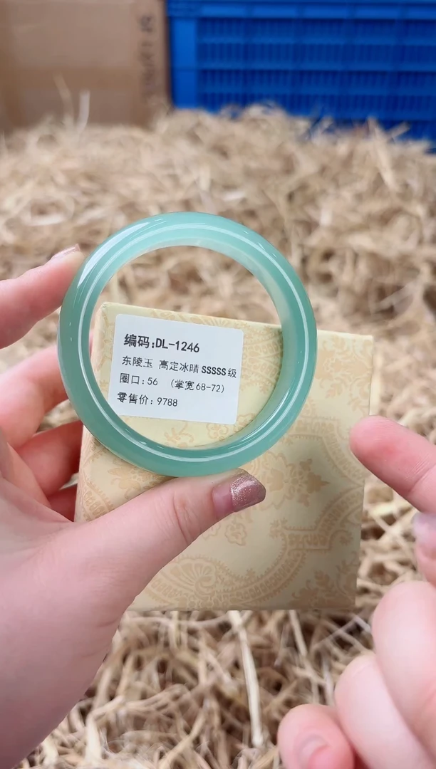 未镶嵌手镯石英质玉DL-1246