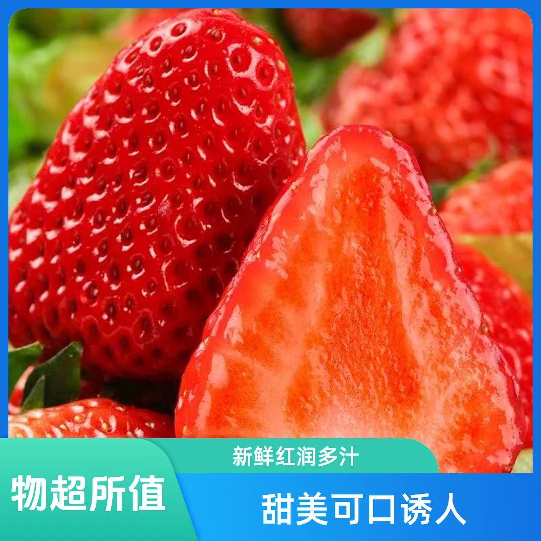 顺丰京东送货上门 新鲜送达 现摘现发 山东甜宝牛奶草莓 香甜美味1斤2斤 甜宝中国大陆
