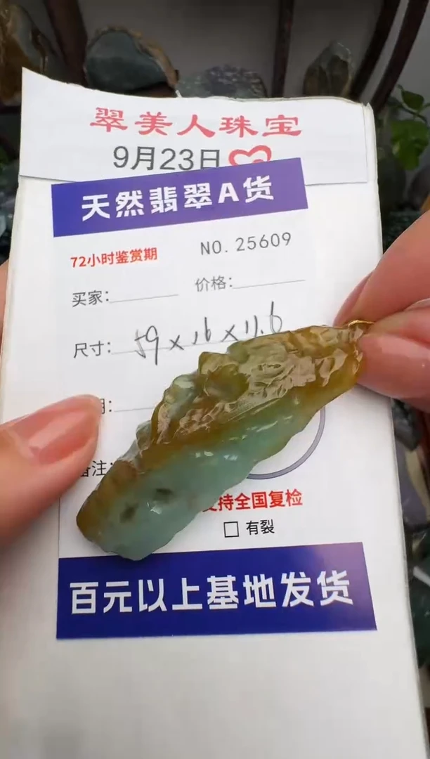 颈饰未镶嵌翡翠原石25609