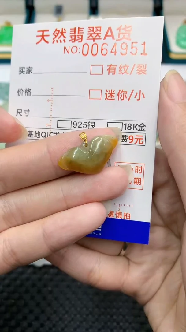 【闪购商品】翡翠颈饰18K金镶嵌            8