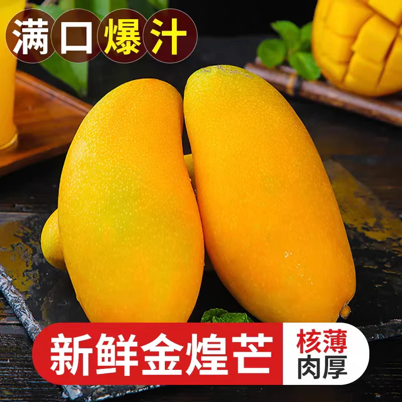金煌芒黄皮大芒果超甜多汁应季新鲜水果