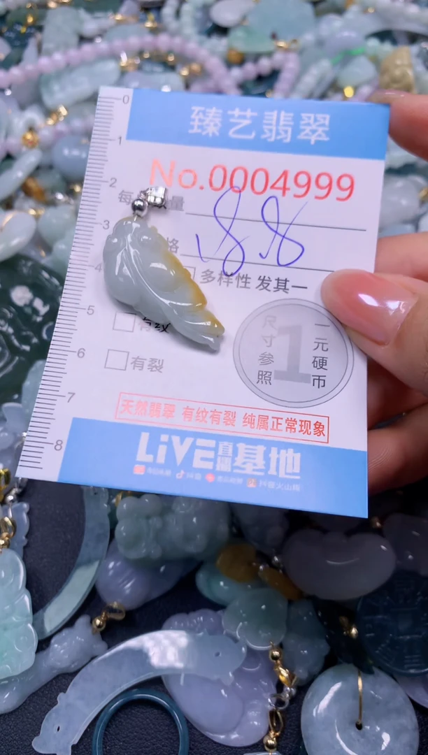 颈饰未镶嵌翡翠4999