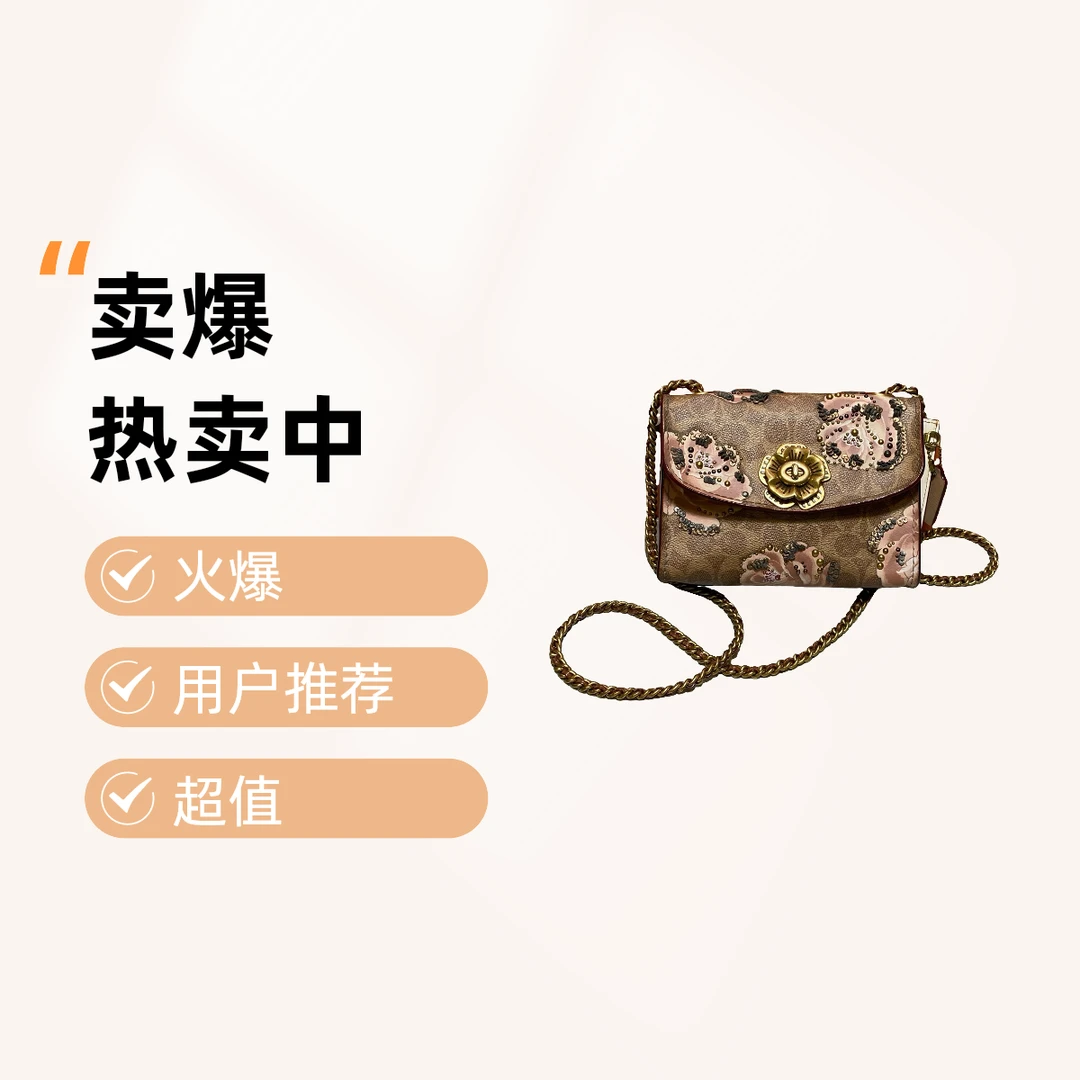 95新 COACH/蔻驰 14160 斜挎包