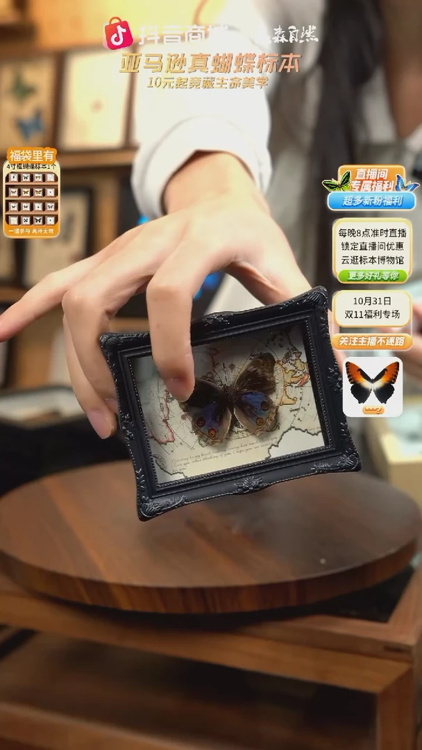 冰箱贴标本摆件m160