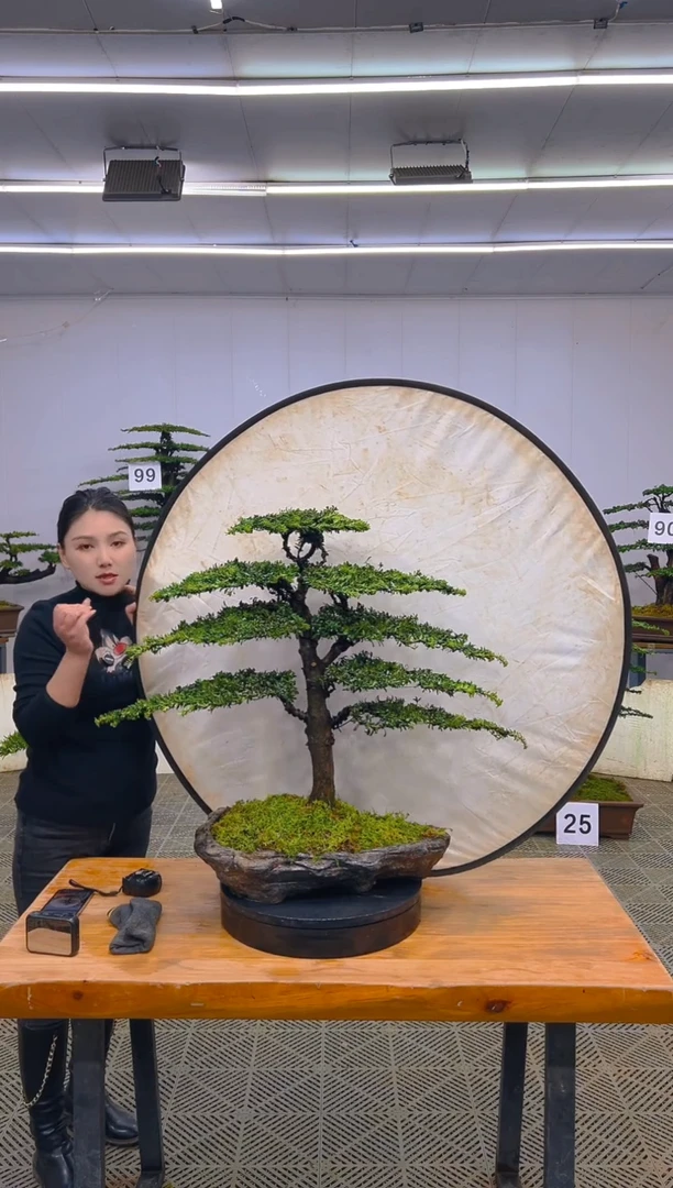 无花朵拖****飙一物一拍一物一拍