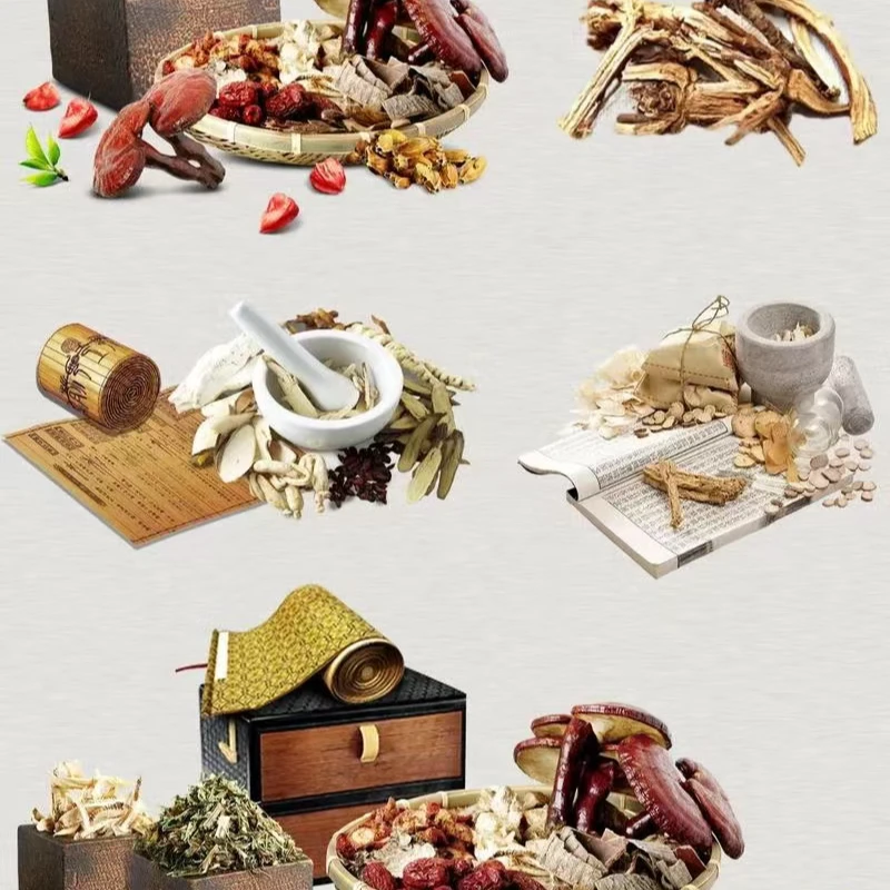 云南深山好物--冰川菊