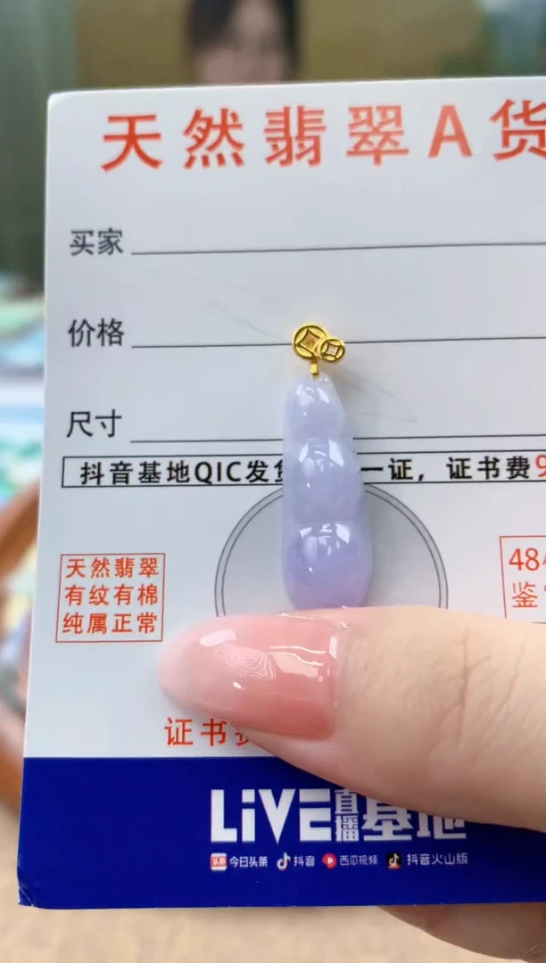 颈饰未镶嵌翡翠天然A货翡翠挂件