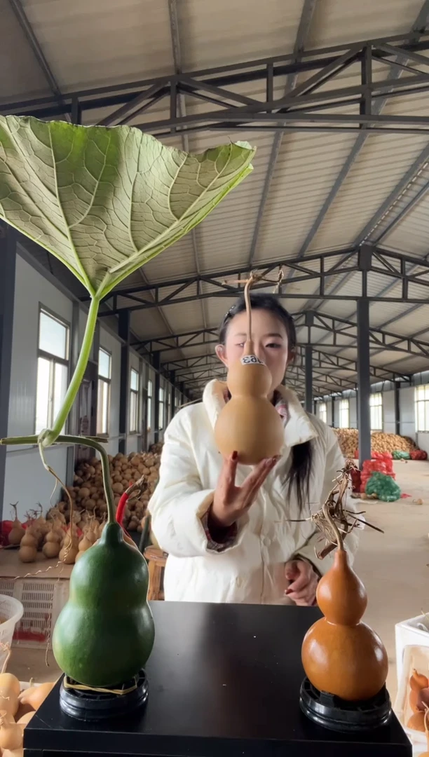 463天然葫芦摆件 一物一拍龙头不保售后