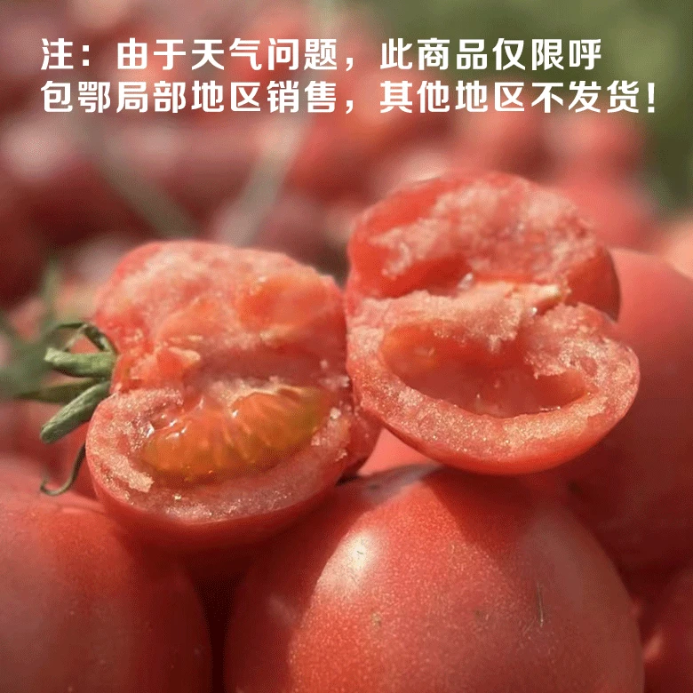 普罗旺斯沙瓤西红柿  净重5斤