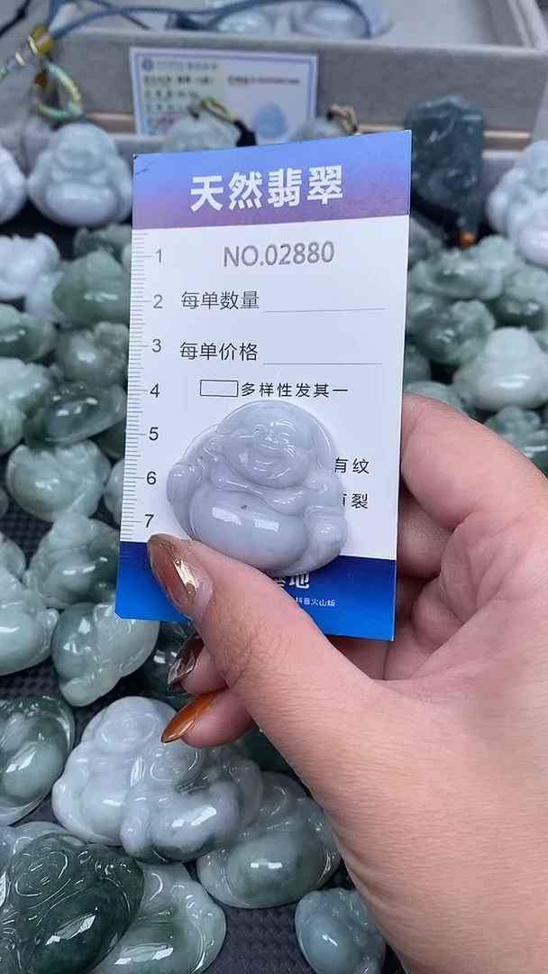 颈饰未镶嵌翡翠纯天然A货翡翠2880