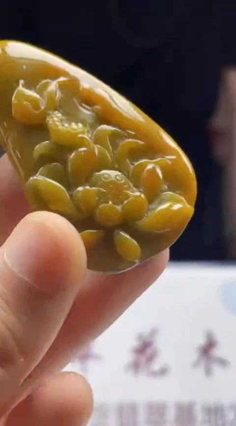 翡翠未镶嵌颈饰      *48