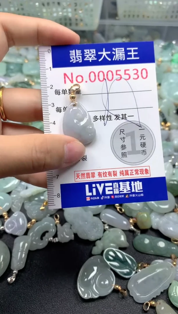 颈饰未镶嵌翡翠5530