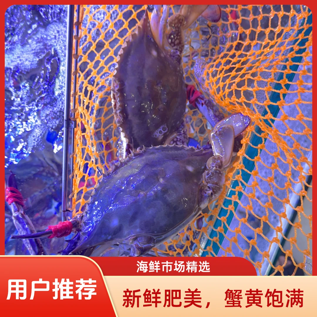 3斤！东港飞蟹鲜活！3-4两左右每只