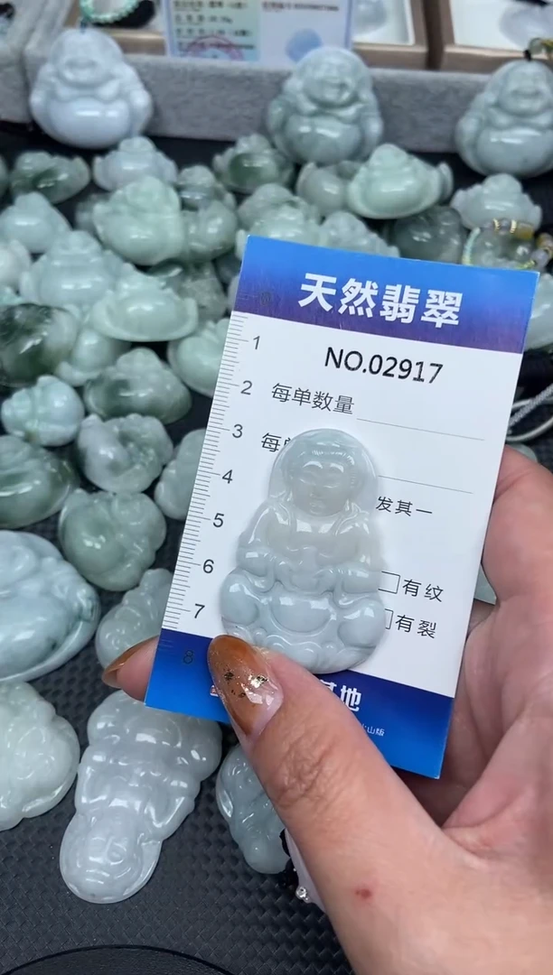 颈饰未镶嵌翡翠纯天然A货翡翠2917