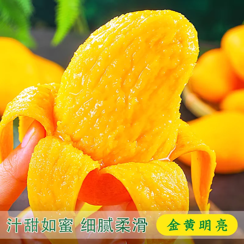 广西百色台农大果新鲜采摘香甜无筋放软食用应季水果