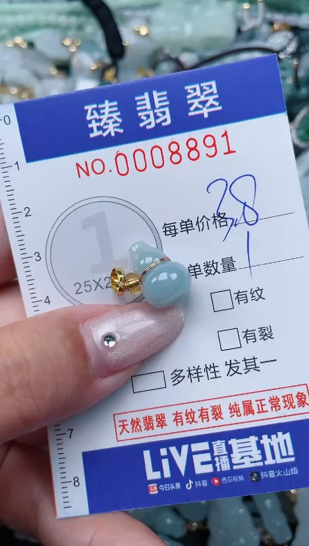 翡翠未镶嵌颈饰.0008891
