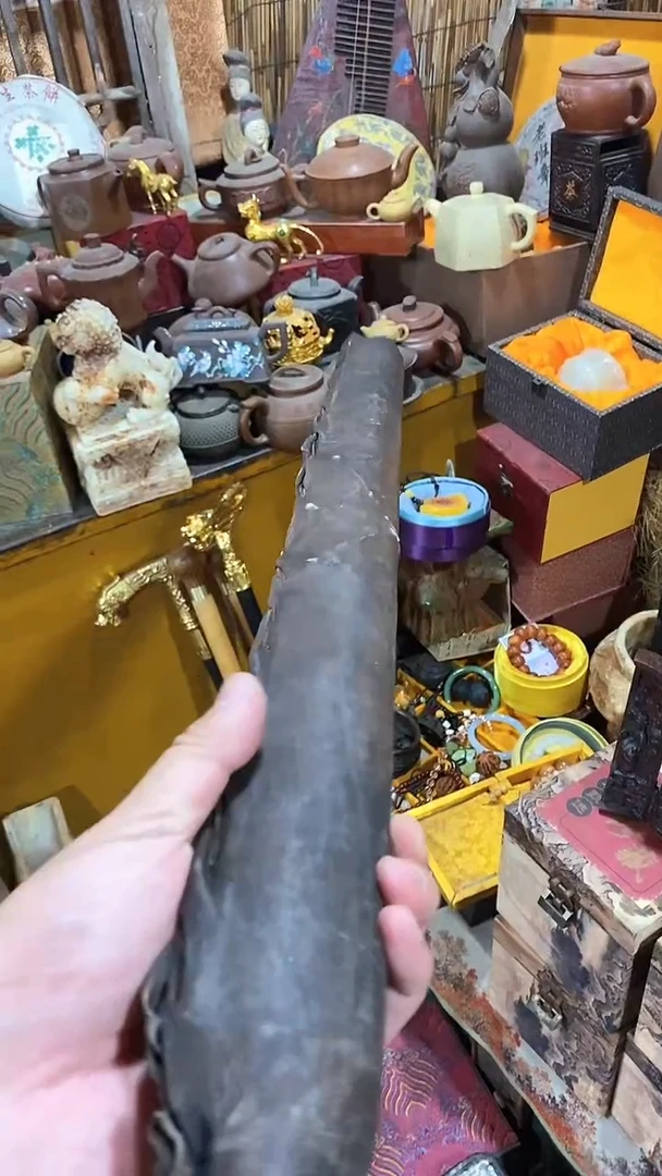 木多样性摆件-------(晓晓甄选)