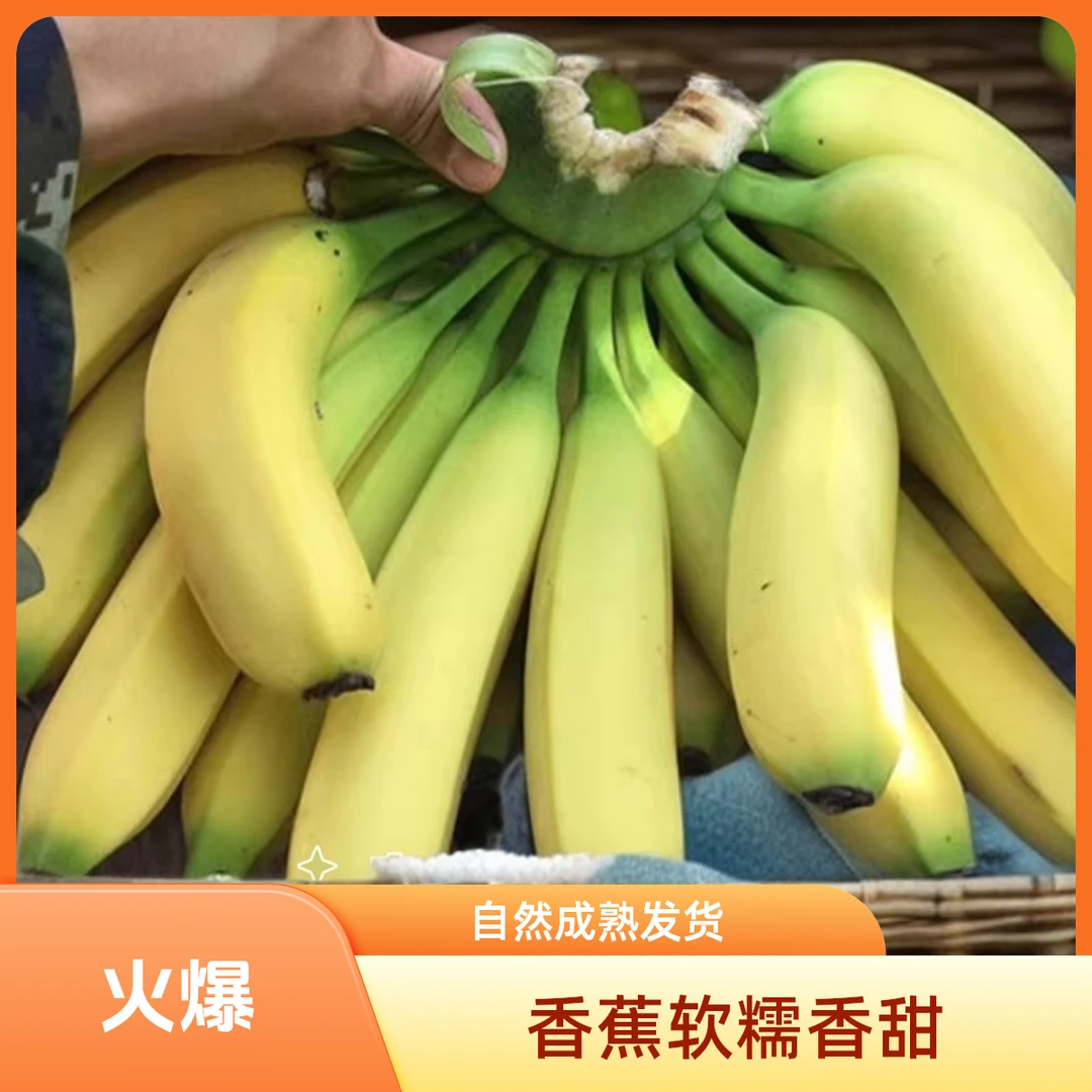 广西高山甜香蕉5-9斤当季新鲜水果香甜软糯产地直发自然成熟