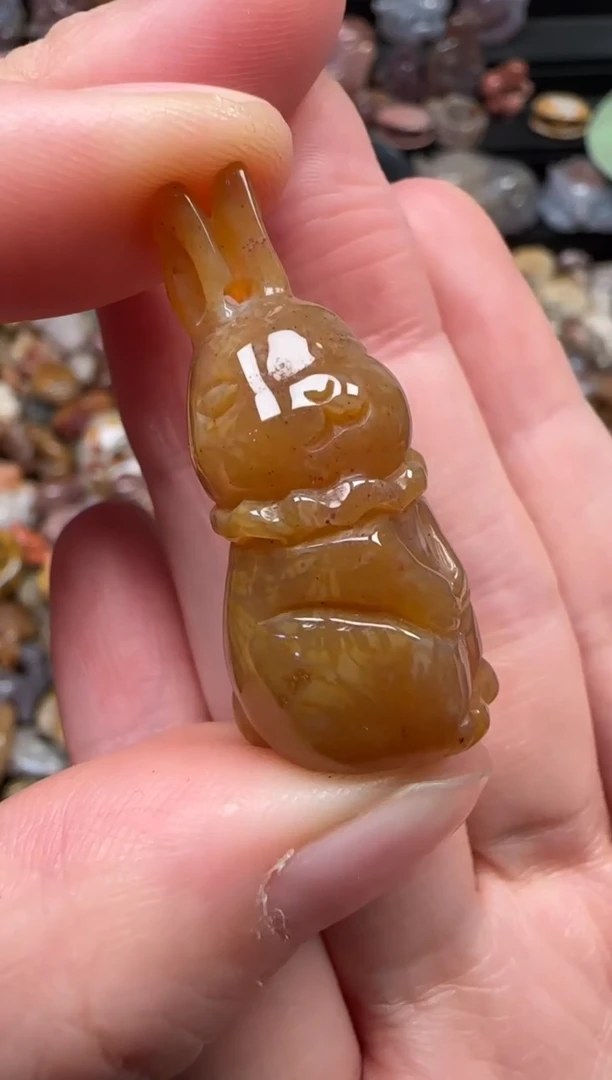 颈饰未镶嵌硅化珊瑚（珊瑚玉）634