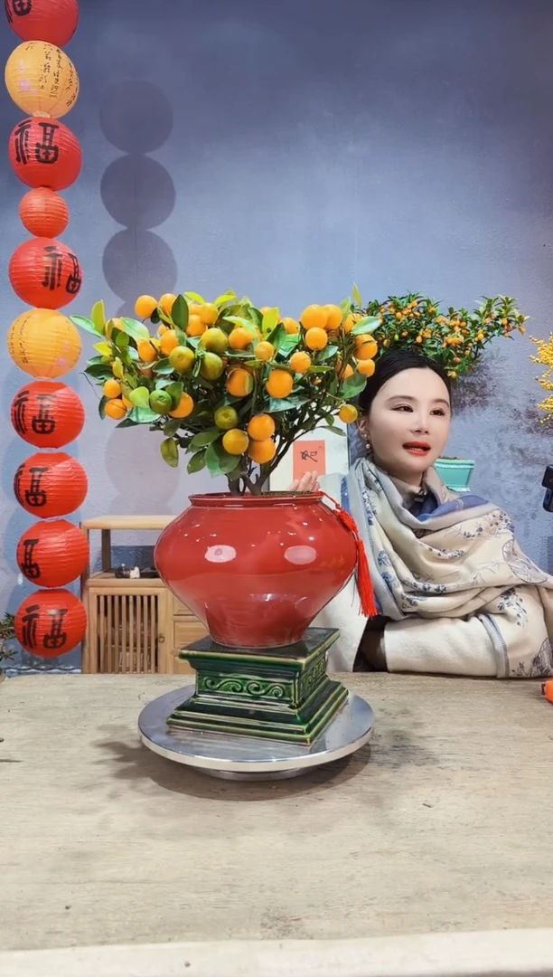 【闪购商品】盆景年桔