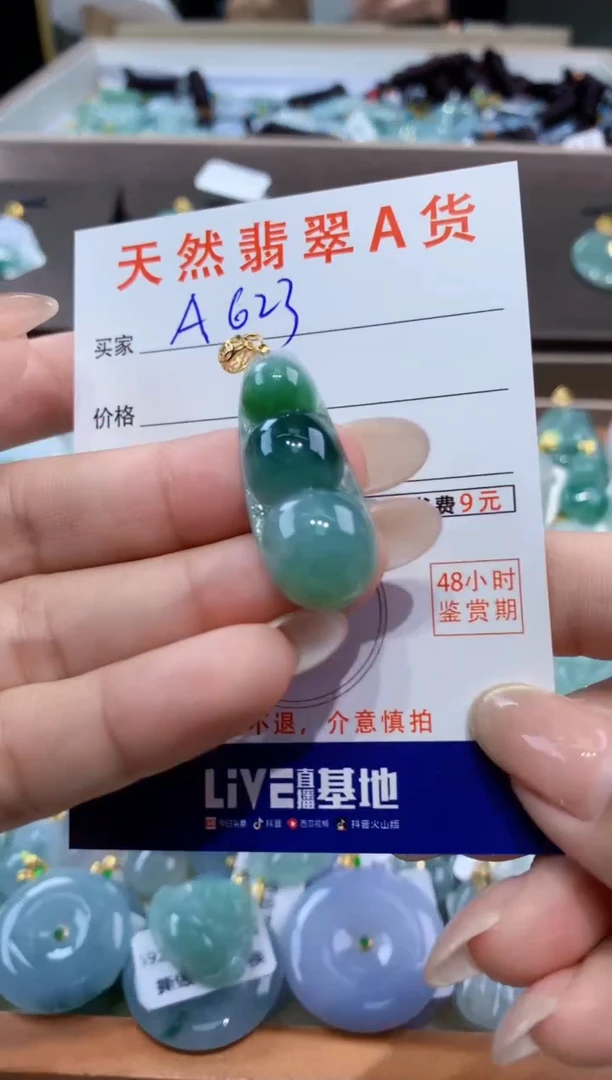 颈饰未镶嵌翡翠天然缅甸翡翠A货挂件