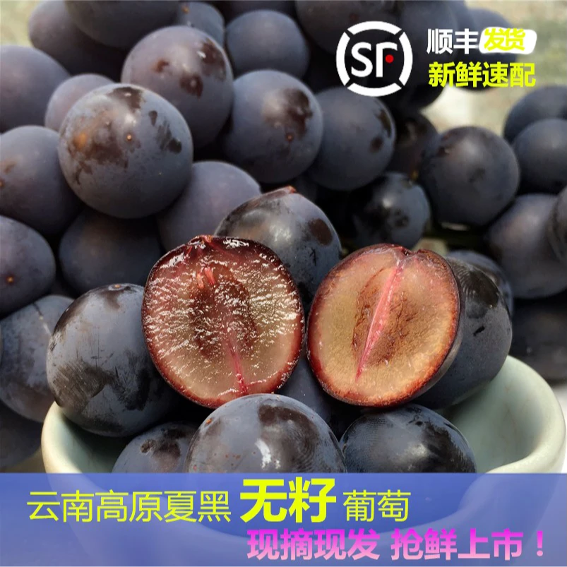 云南高原无籽夏黑葡萄新鲜颗粒葡萄黑提子酸甜多汁顺丰发货