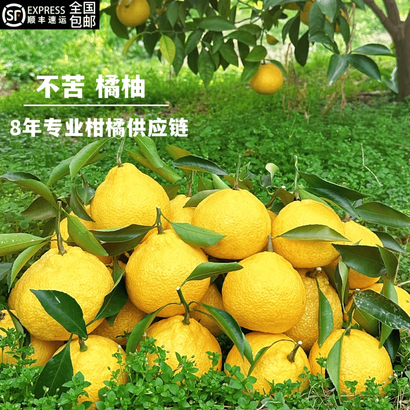 【不苦 橘柚】春香桔柚温和爽口甘甜解腻不酸纯甜象山青包邮5斤