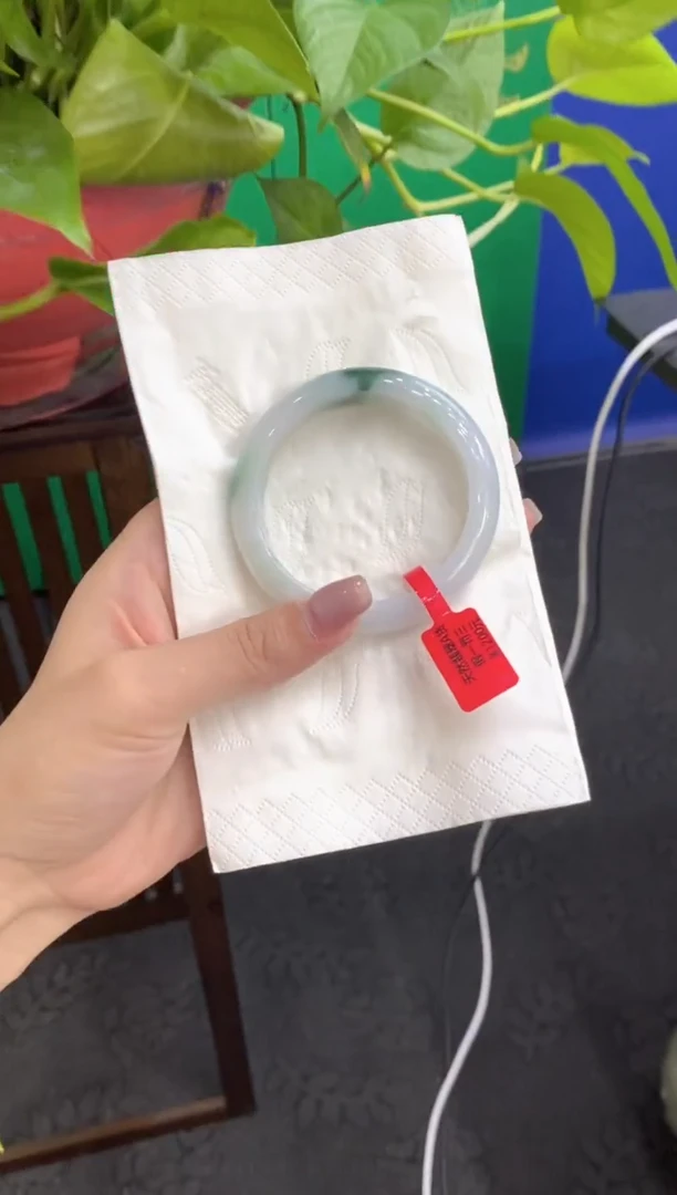 未镶嵌手镯翡翠000031008