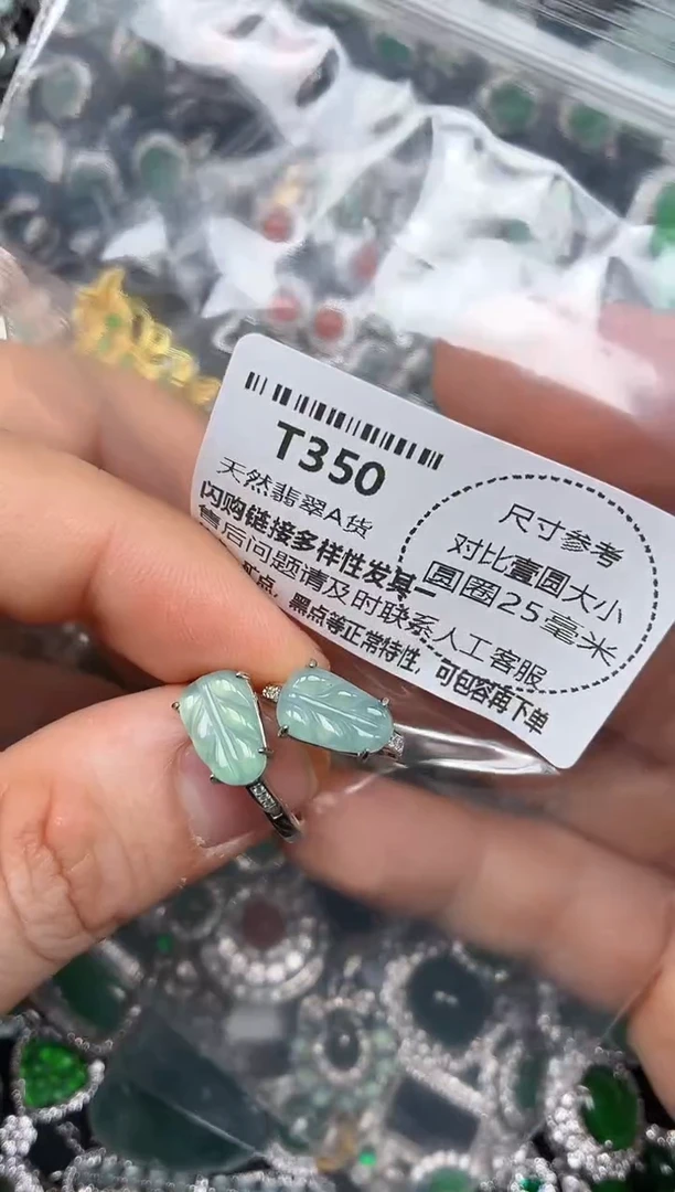 颈饰未镶嵌翡翠T350耳扣
