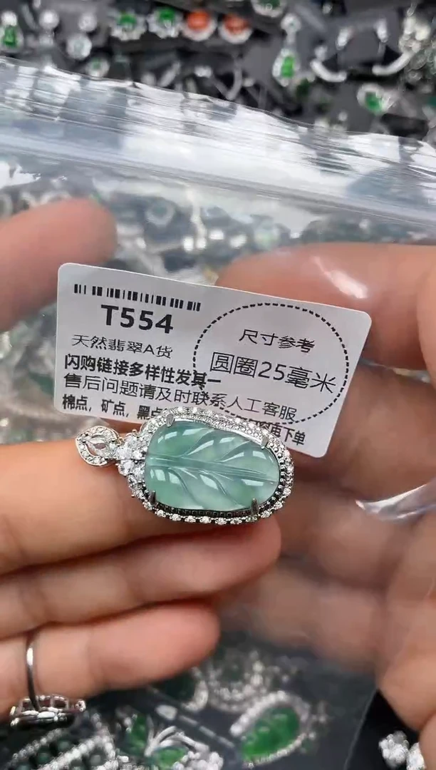 翡翠未镶嵌颈饰T554吊坠