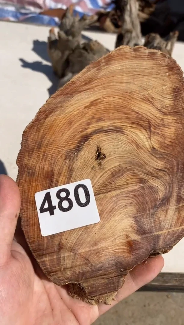 柏木（崖柏）太行陈化崖柏切片一块（津诚林）480