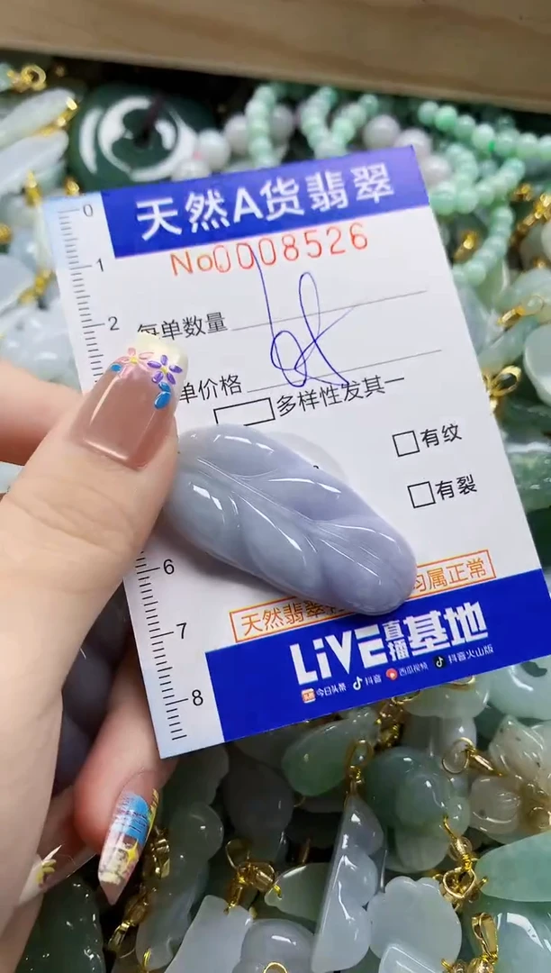 颈饰未镶嵌翡翠小*亮天然A货翡翠