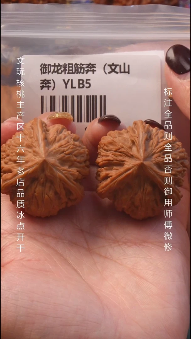 把件文玩核桃41.5御龙粗筋奔全品8号