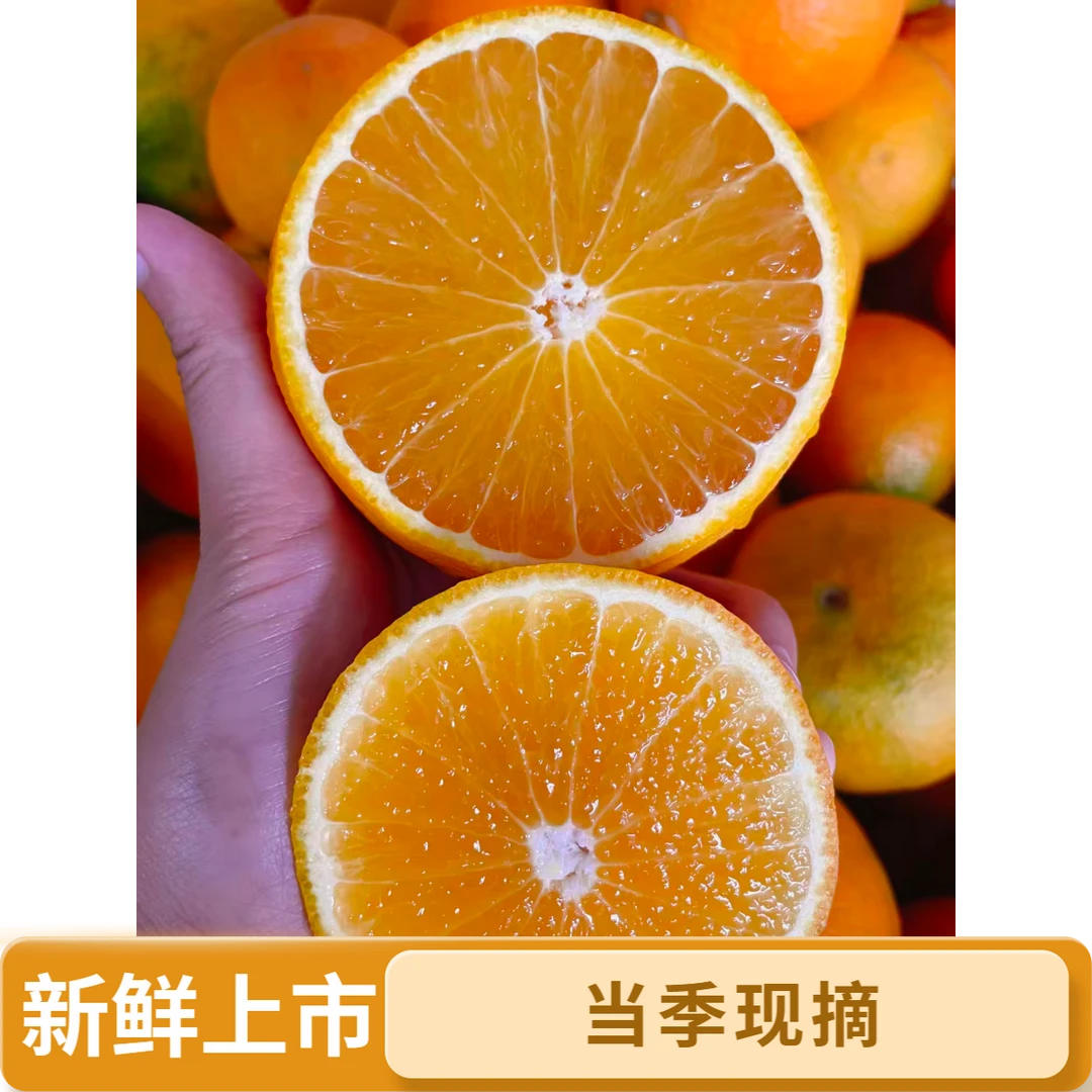 四川爱媛果冻橙新鲜采摘包邮皮薄酸甜多汁现摘当季水果