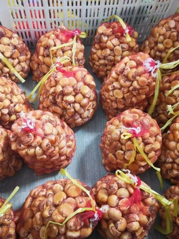 大别山新鲜板栗香甜脆口内皮好剥当天现剥现发成熟香糯