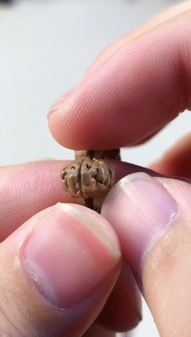 吊坠金刚菩提855勿里达五瓣老树王108长串