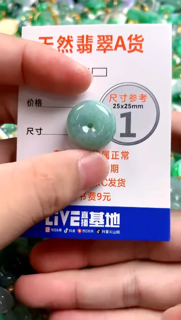 颈饰未镶嵌翡翠14001004